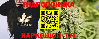 а пвп мука Дубна