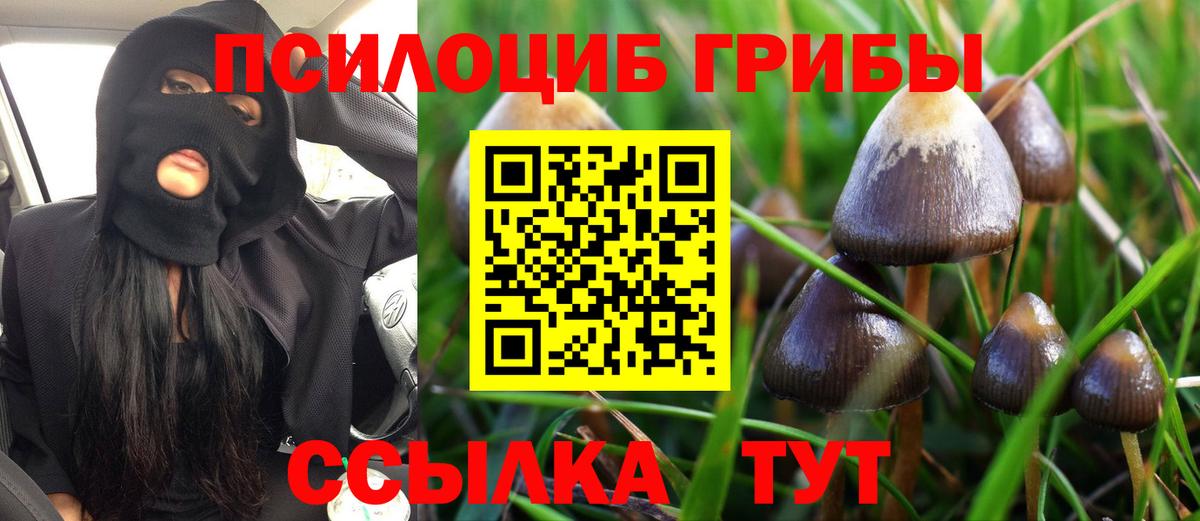Галлюциногенные грибы Psilocybine cubensis  Вход с VPN  Малоярославец 