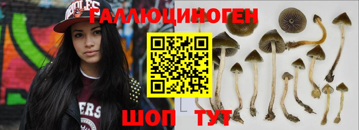 Псилоцибиновые грибы GOLDEN TEACHER Малоярославец